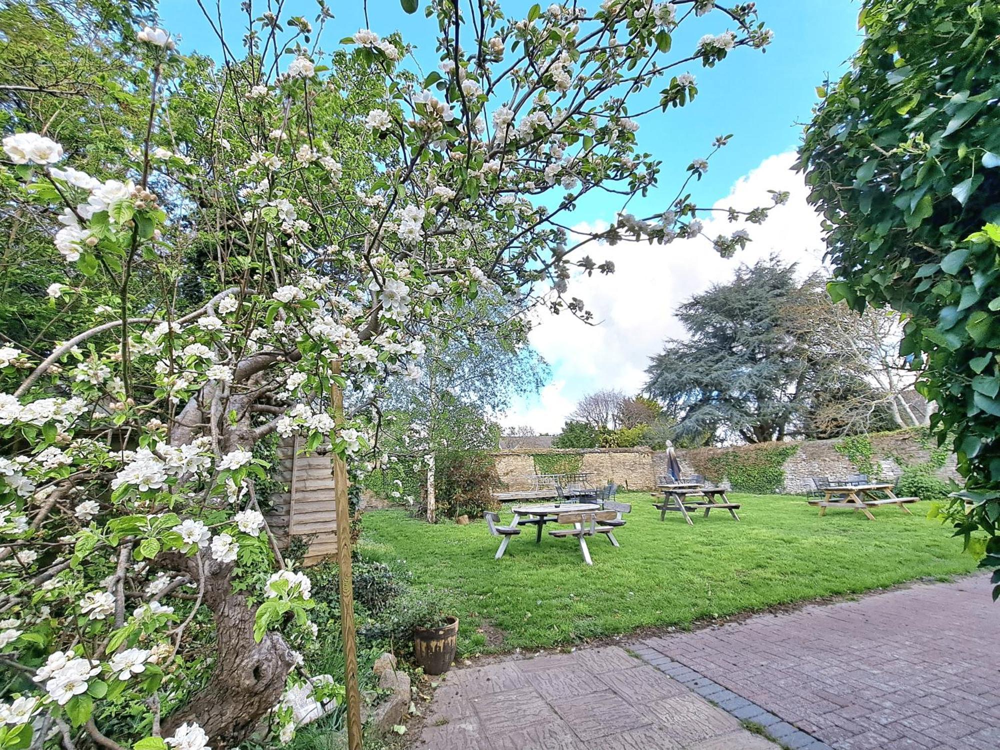 The White Hart Bed and Breakfast Eynsham Eksteriør billede